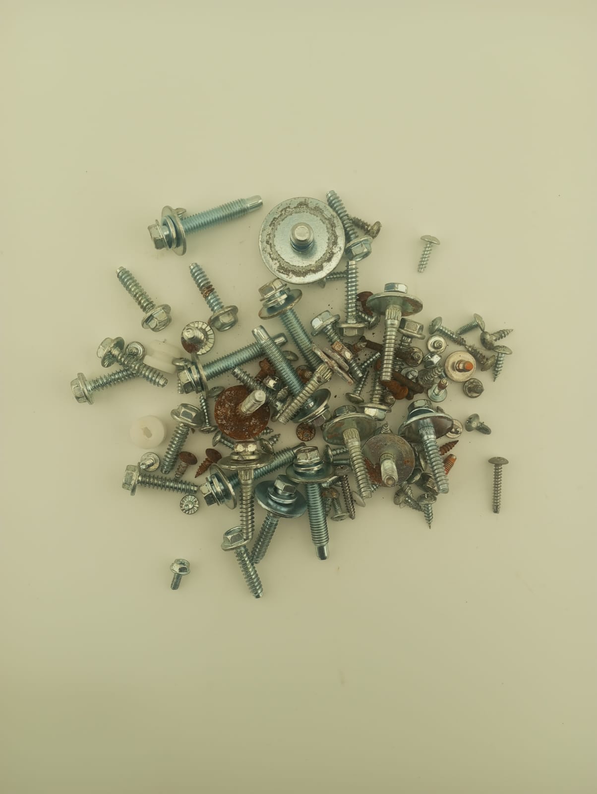 Bag Of Assorted Screws From a LG F14U1QDN0