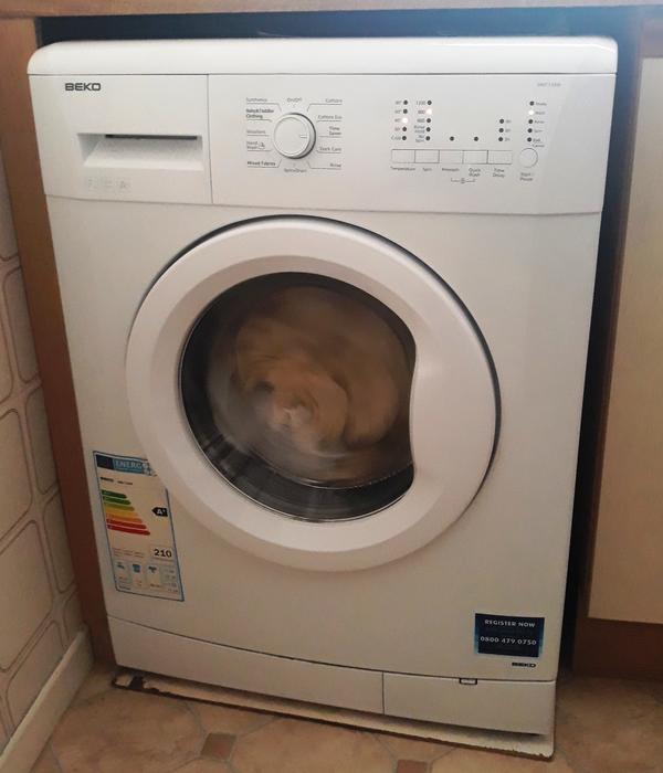 Beko WM7120W Washing Machine Removed the rubber seal and only spring on the outside none on the back of the seal is this normal