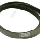 Beko Poly-Vee Drive Belt - 1171J5PJE / 1171J5