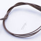 492594 - Photo 1