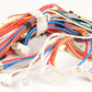 1498879 - Photo 2