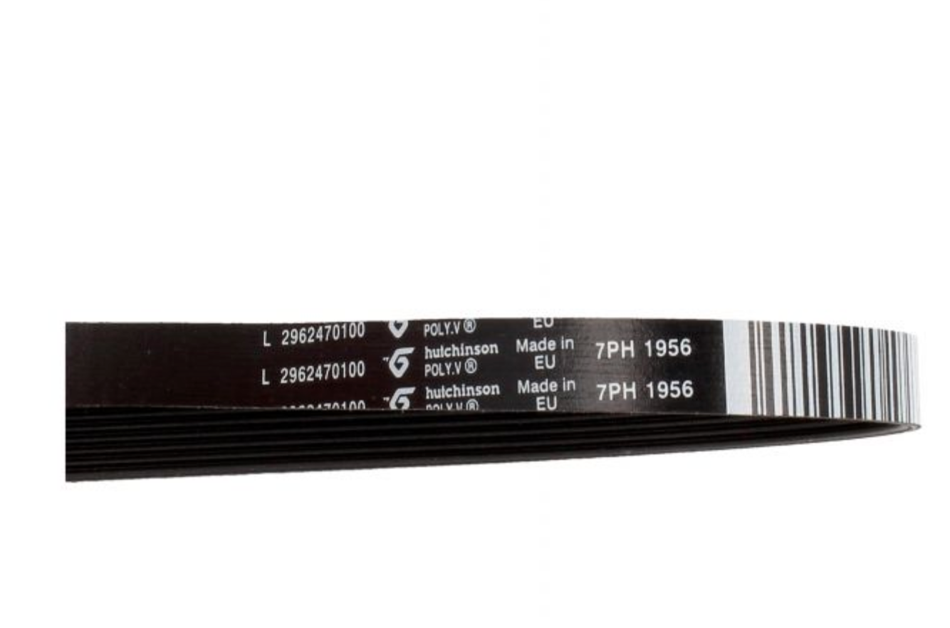 Beko Poly-Vee Drive Belt - 1956H7 C00864587