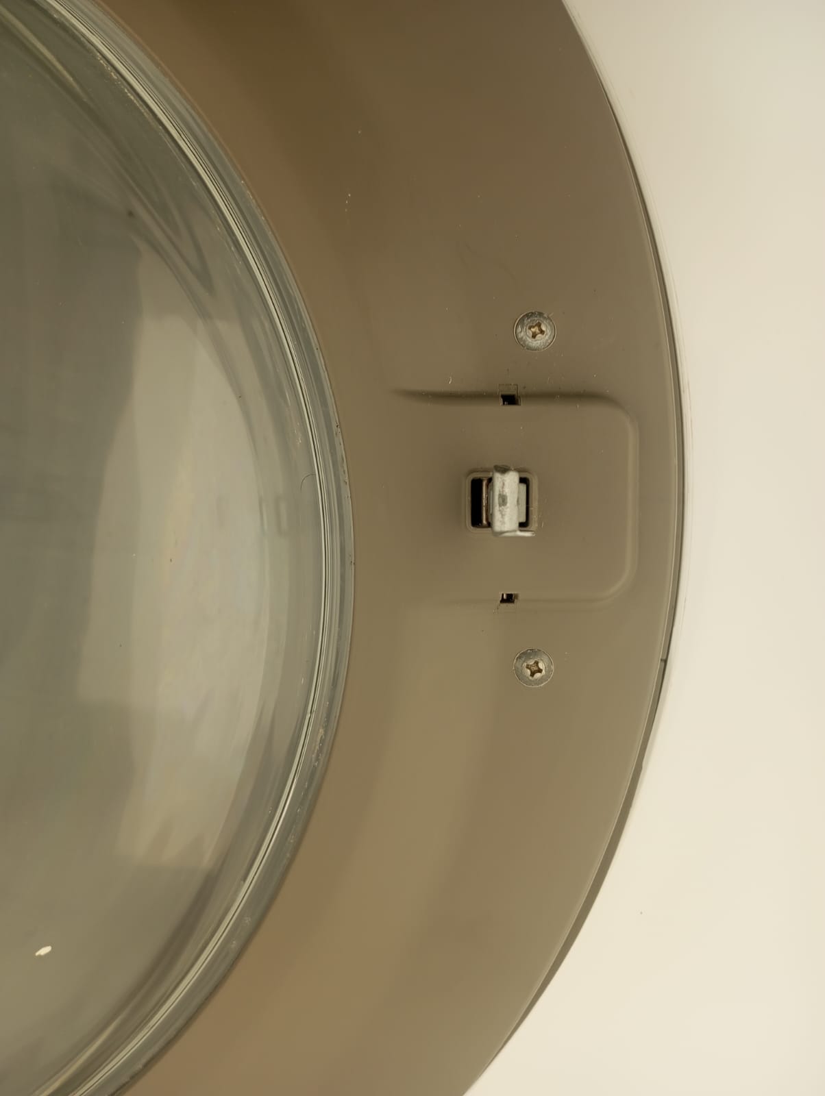 Door Assembly For LG F14U1QDN0 with Hinges