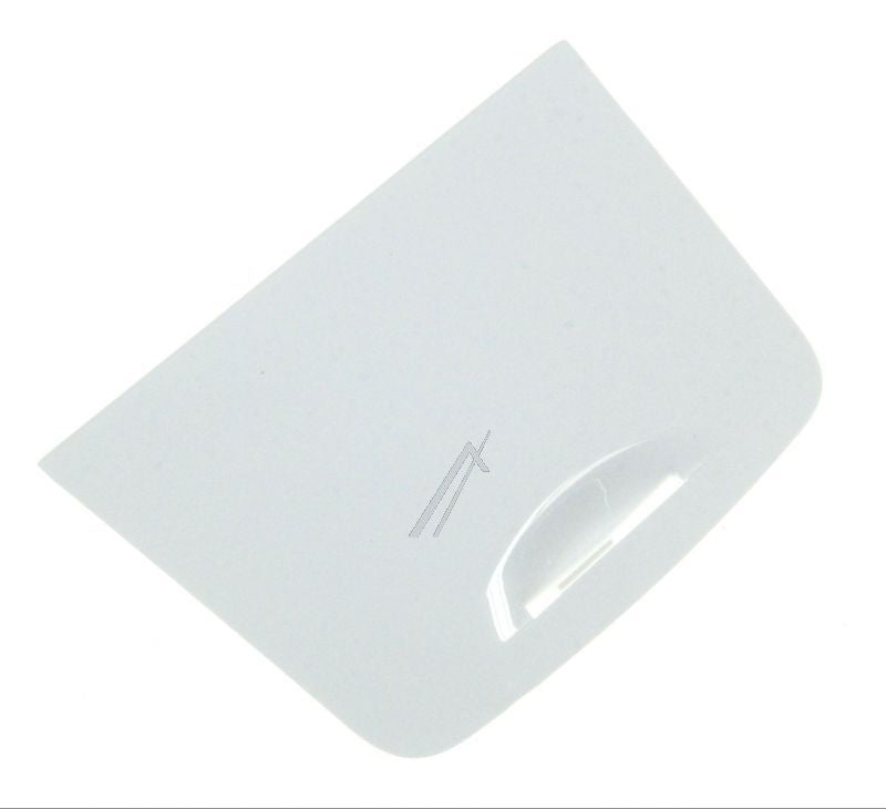 Hoover Filter Door