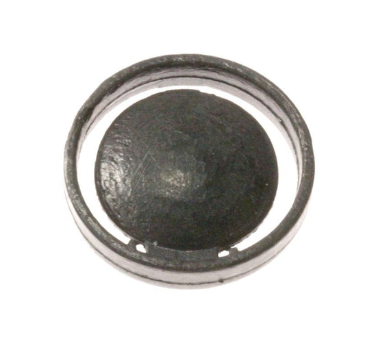 Valve Flap